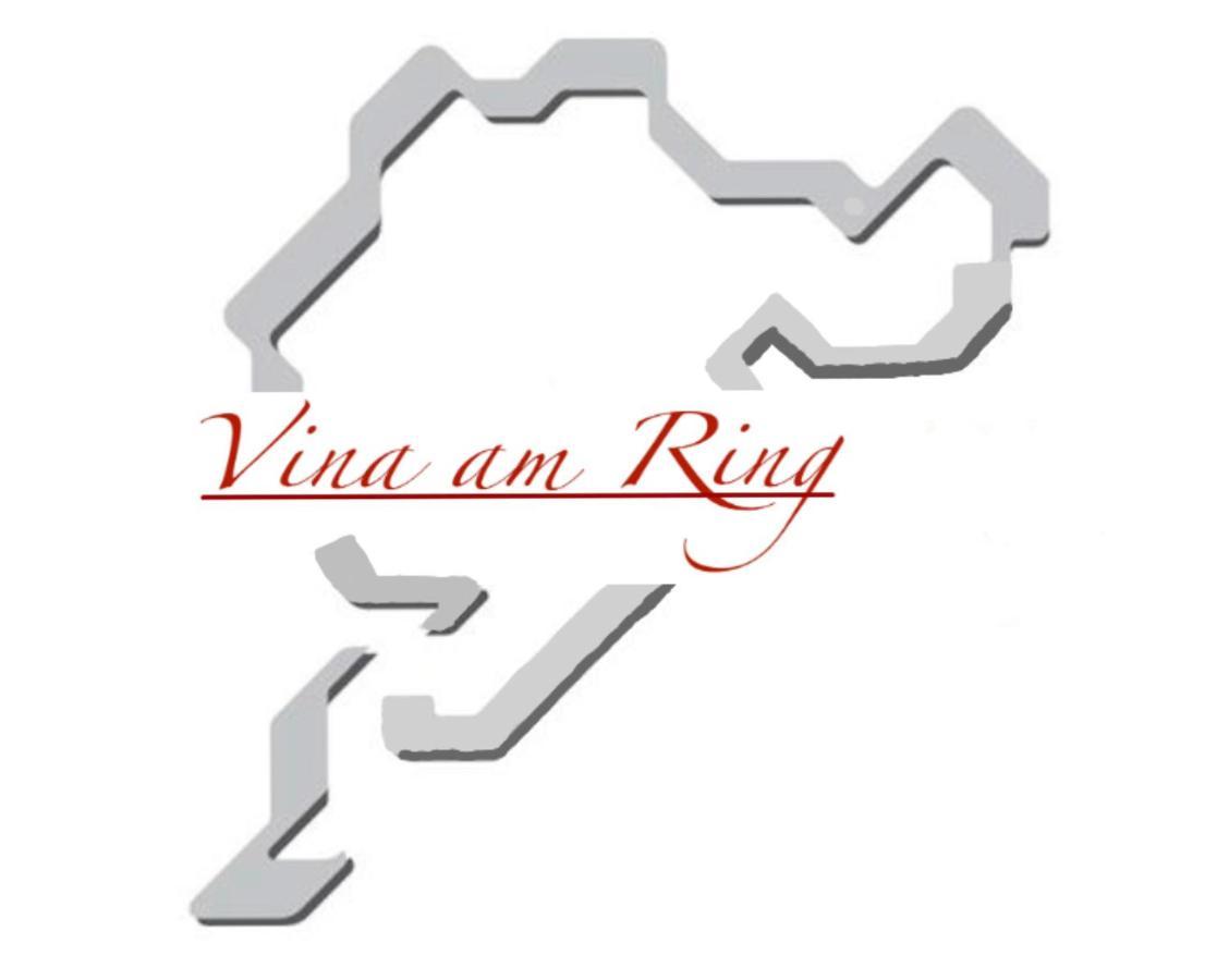 Bed and Breakfast Vina Am Ring Mannebach  Exterior foto